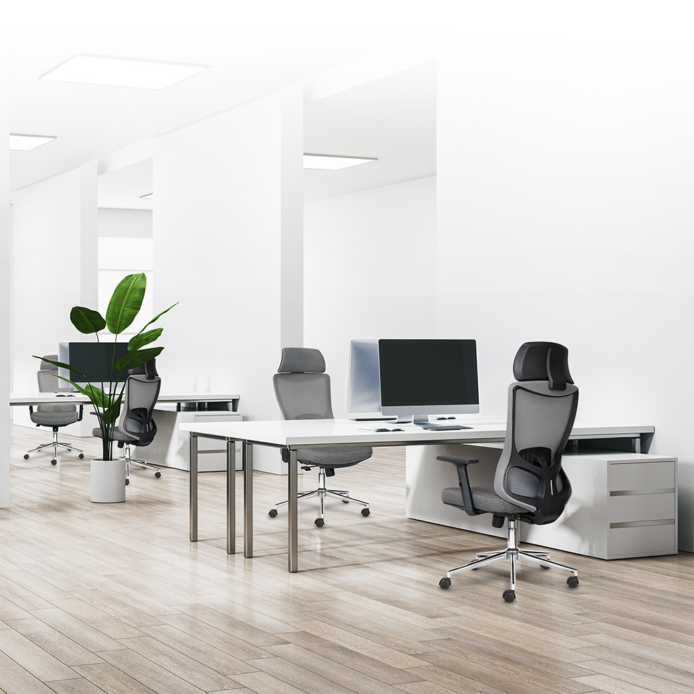 Ghế công thái học M1106 D - 01