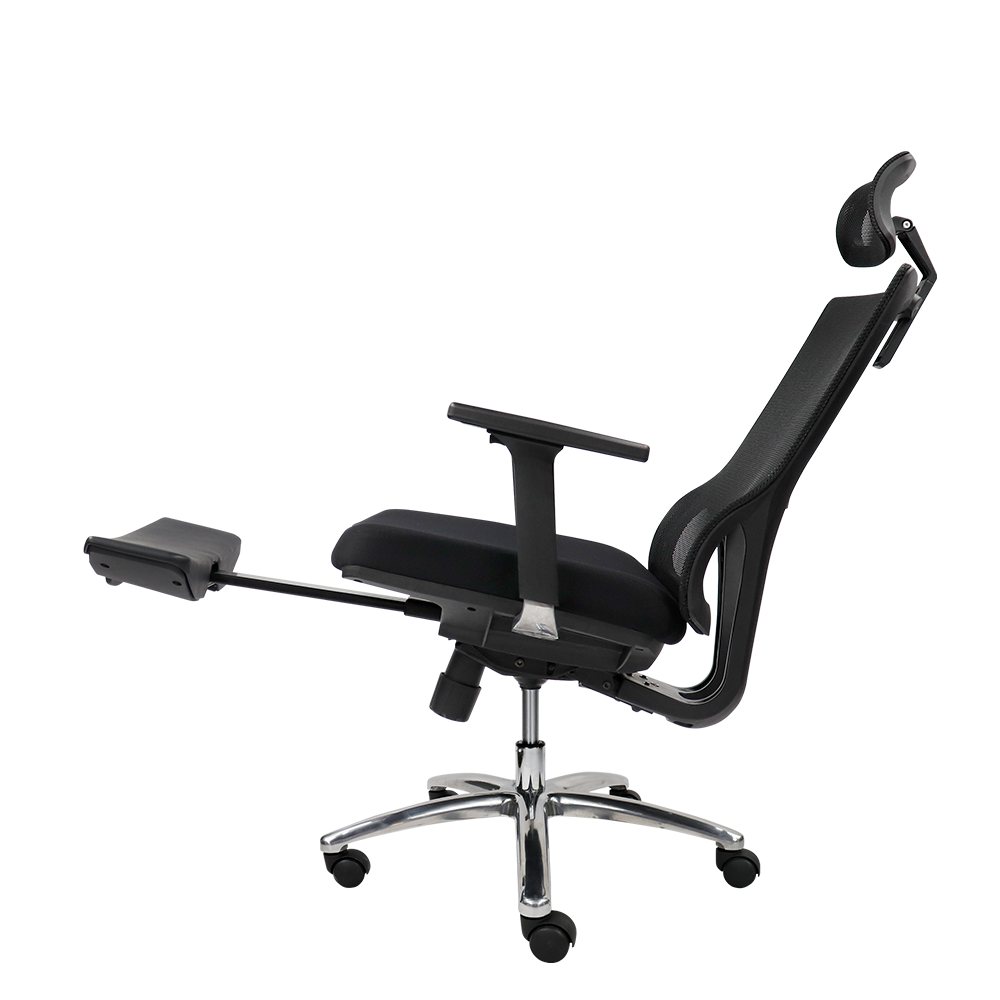 Ghế công thái học M1081 F