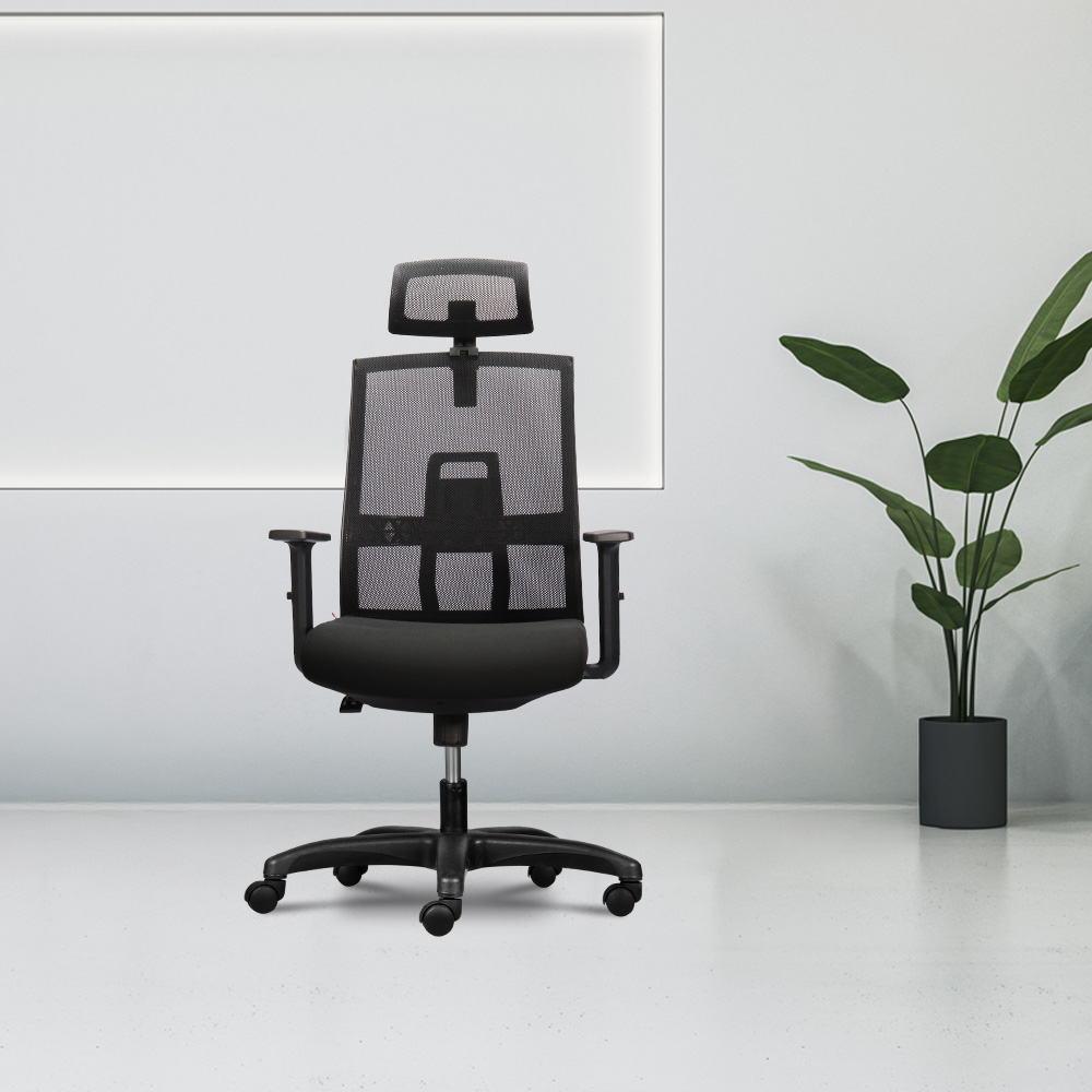 Ghế công thái học M1084 - 02