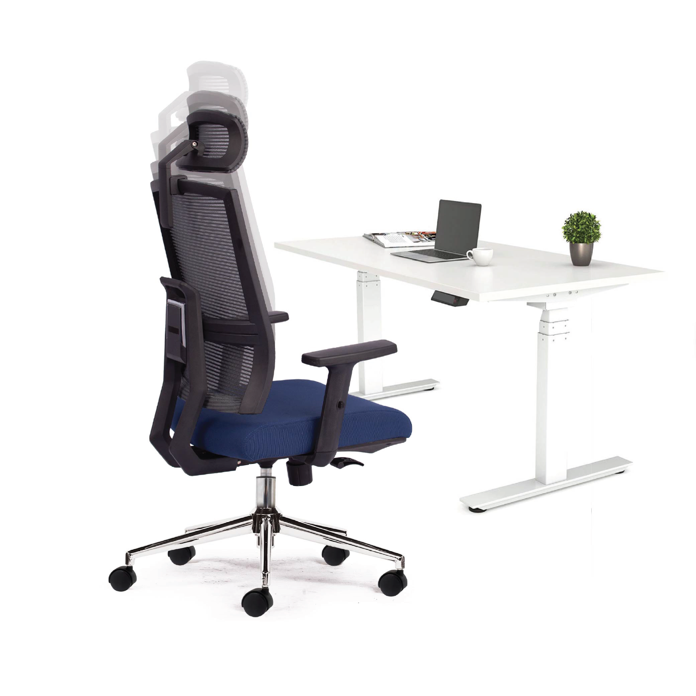 Ghế công thái học M1084 - 01