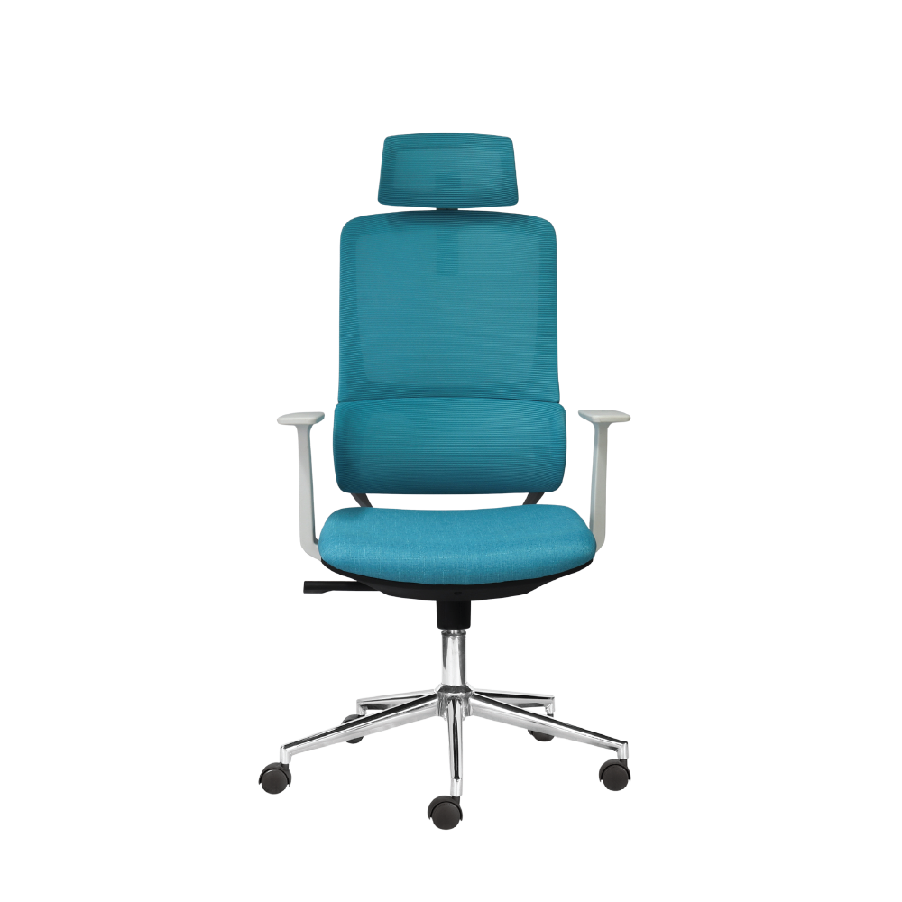 Ghế công thái học M1111 - 01