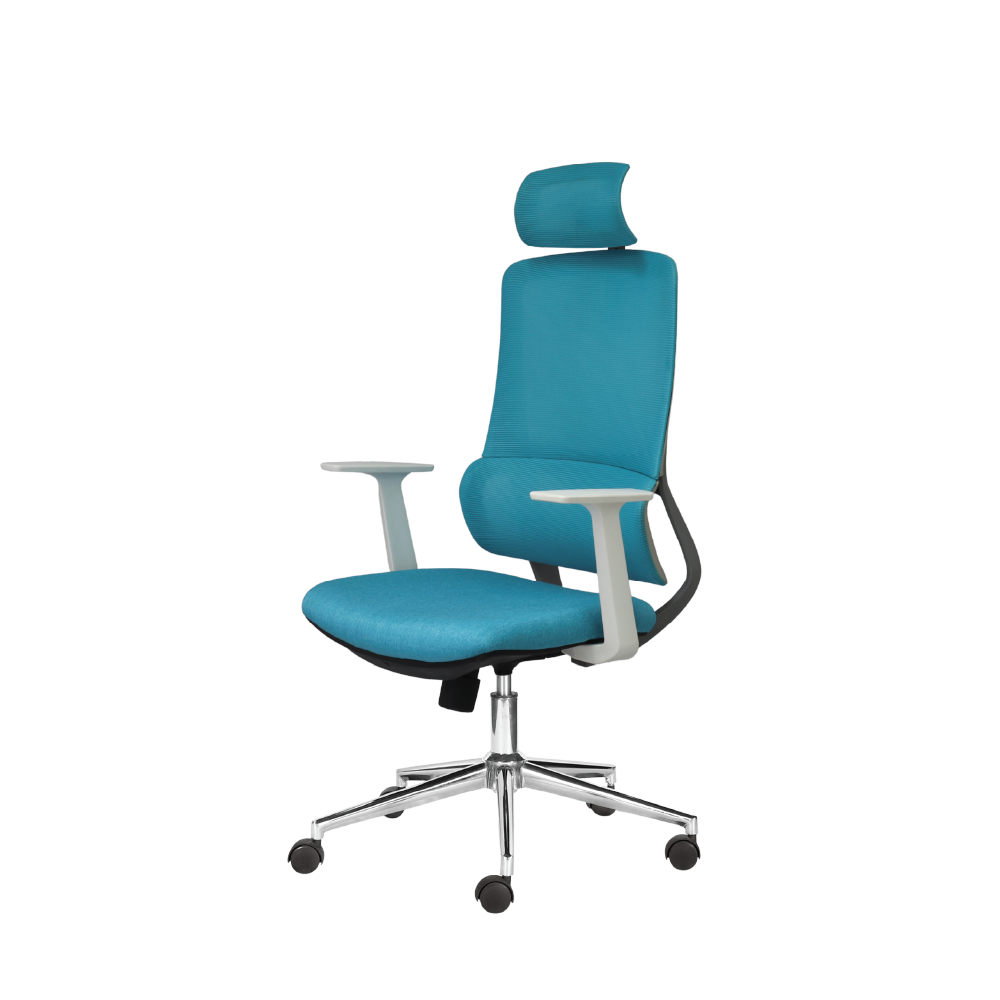 Ghế công thái học M1111 - 01