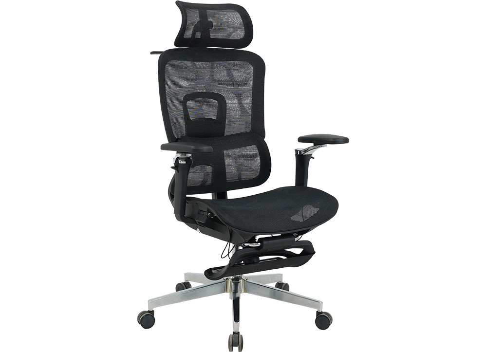 GHẾ CÔNG THÁI HỌC THE ONE 
GLE25