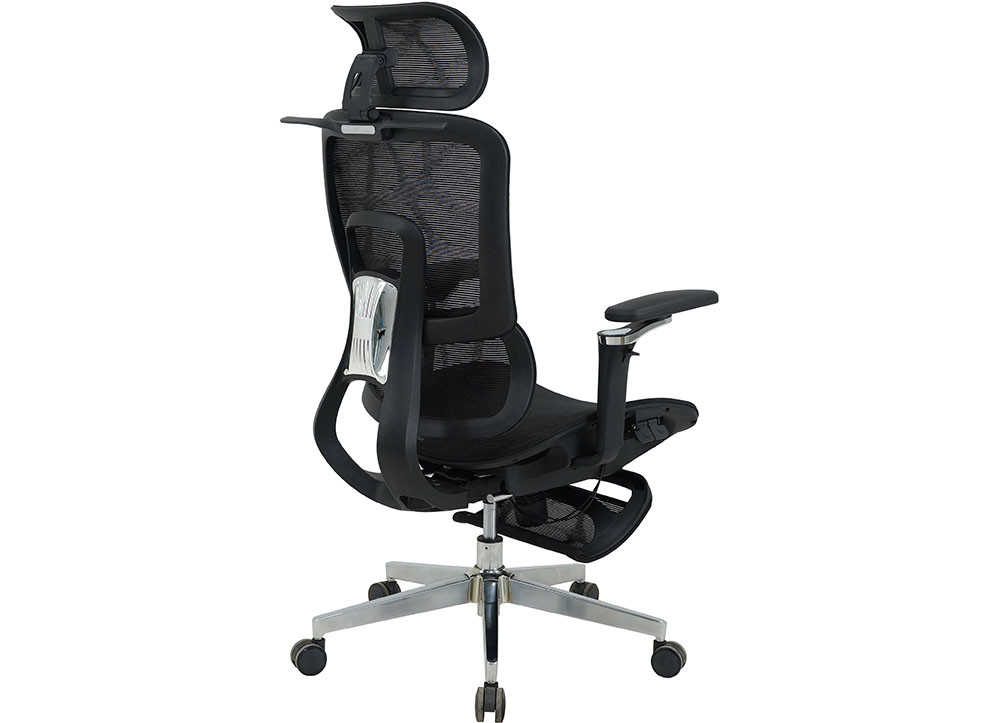 GHẾ CÔNG THÁI HỌC THE ONE 
GLE25