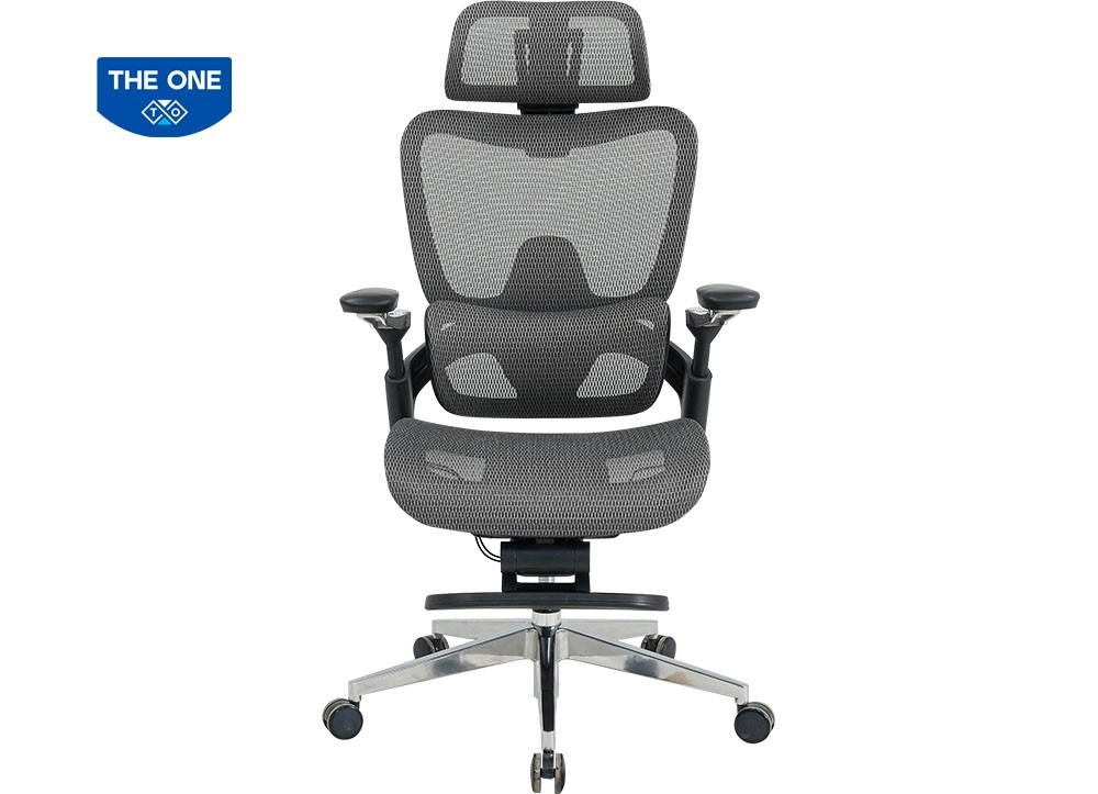 GHẾ LƯỚI CÔNG THÁI HỌC THE ONE 
GLE24