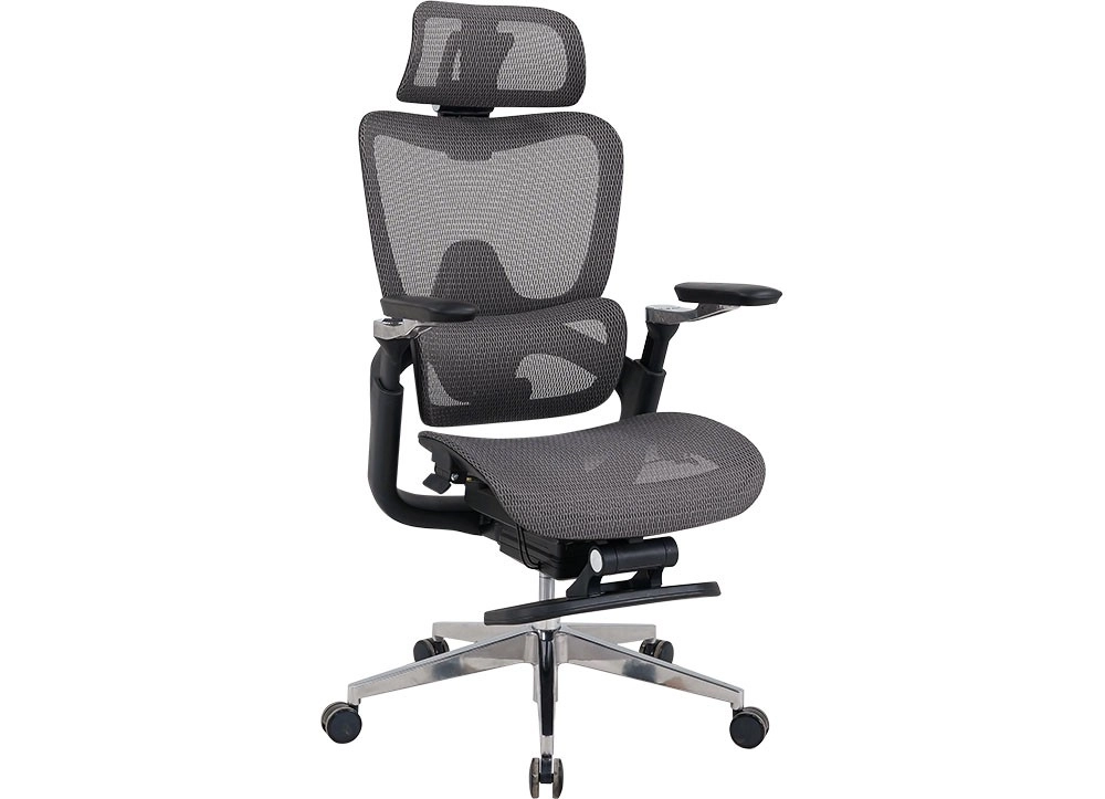 GHẾ LƯỚI CÔNG THÁI HỌC THE ONE 
GLE24