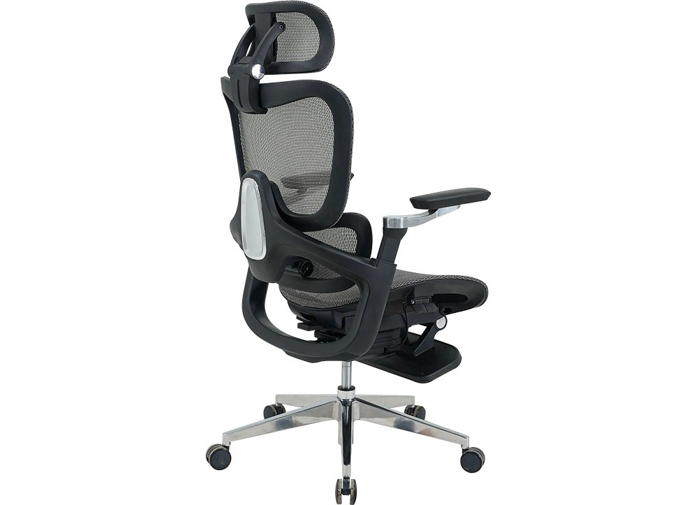 GHẾ LƯỚI CÔNG THÁI HỌC THE ONE 
GLE24