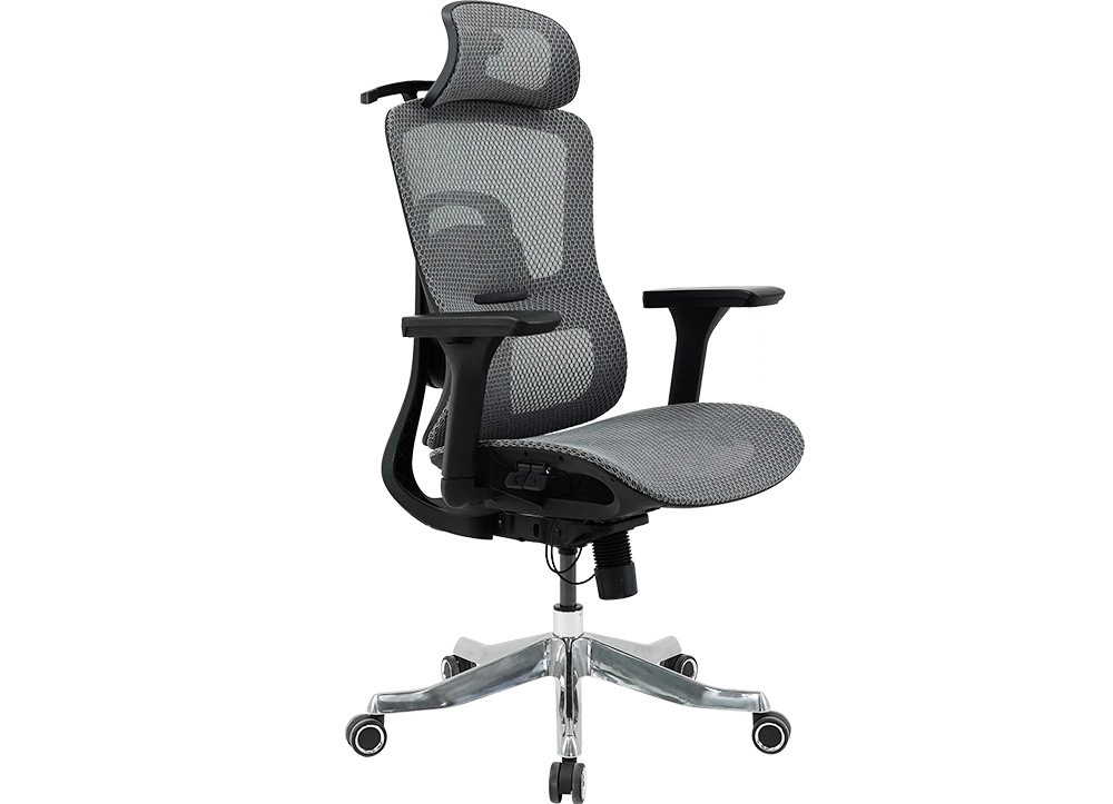 GHẾ CÔNG THÁI HỌC THE ONE 
GLE20