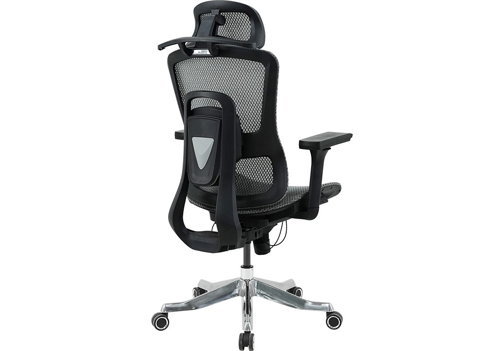 GHẾ CÔNG THÁI HỌC THE ONE 
GLE20