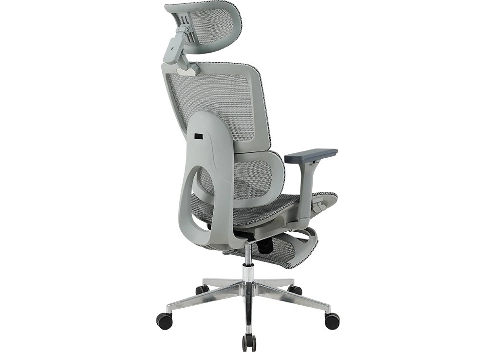 GHẾ CÔNG THÁI HỌC THE ONE 
GLE21