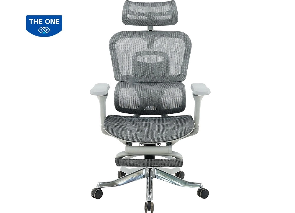 GHẾ CÔNG THÁI HỌC THE ONE 
GLE22