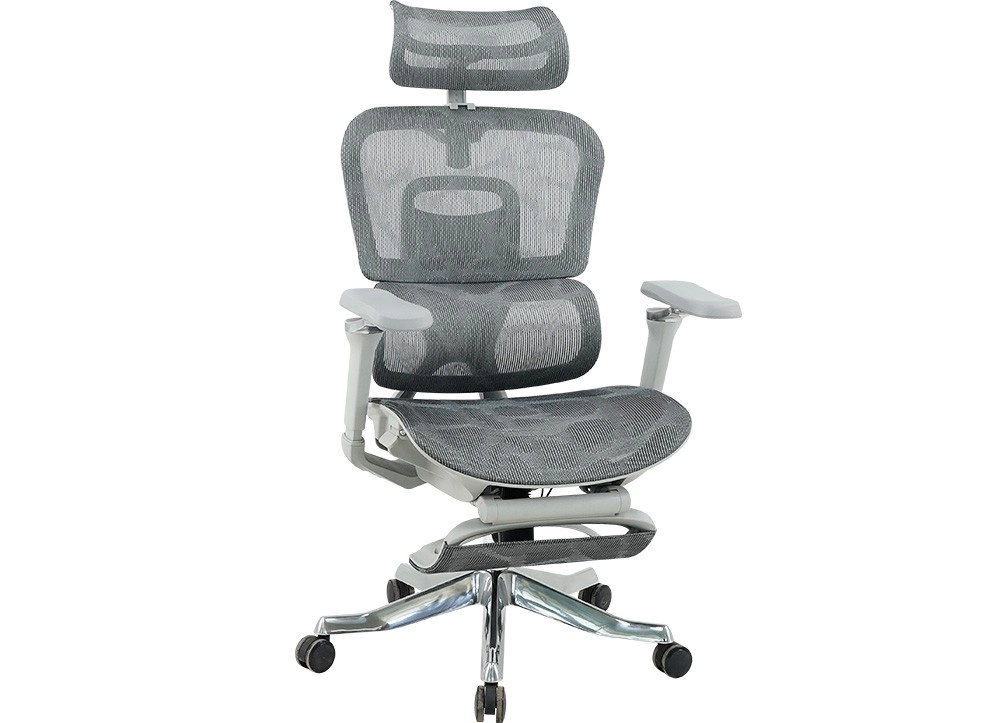 GHẾ CÔNG THÁI HỌC THE ONE 
GLE22