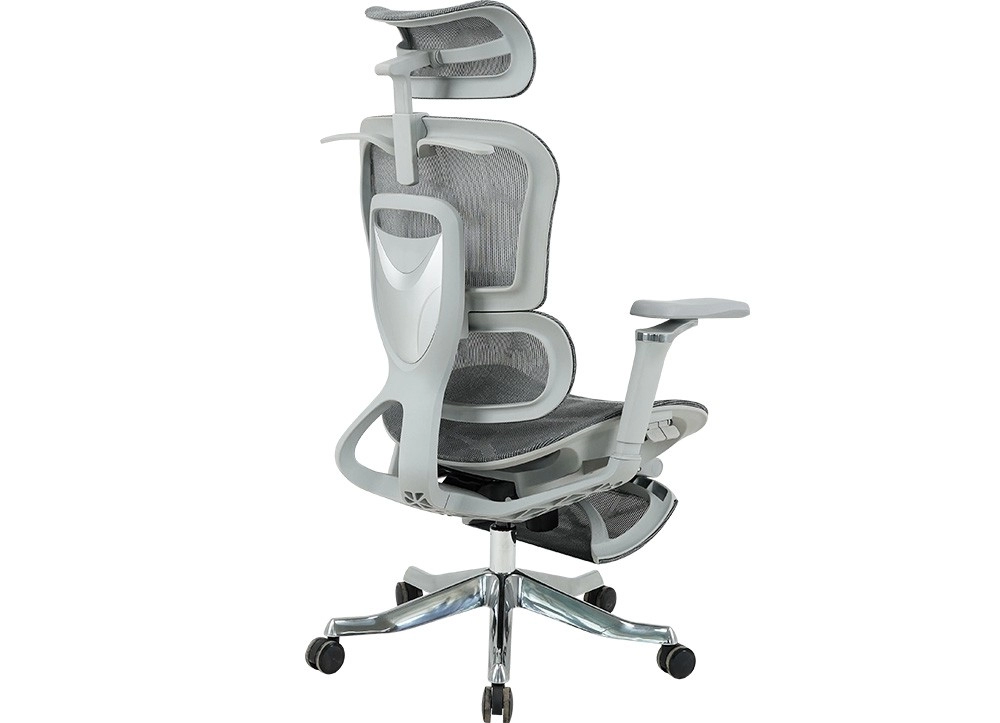 GHẾ CÔNG THÁI HỌC THE ONE 
GLE22