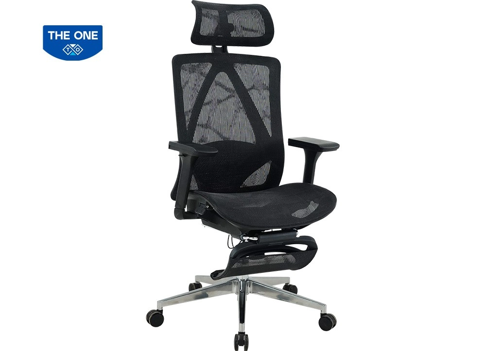 GHẾ CÔNG THÁI HỌC THE ONE 
GLE23