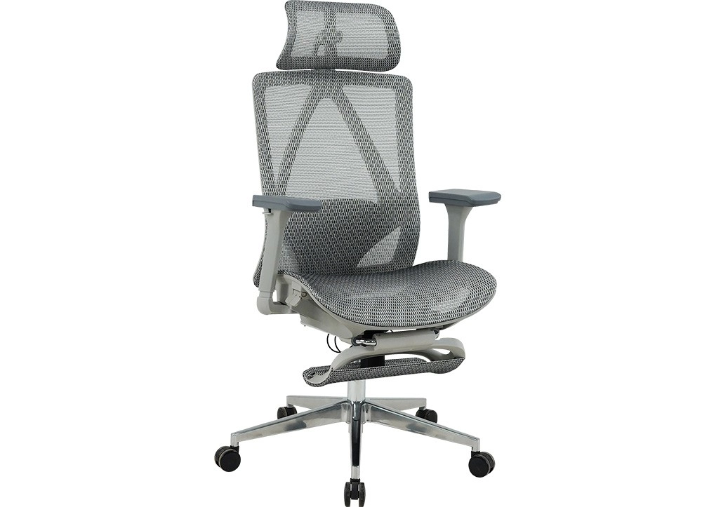 GHẾ CÔNG THÁI HỌC THE ONE 
GLE23