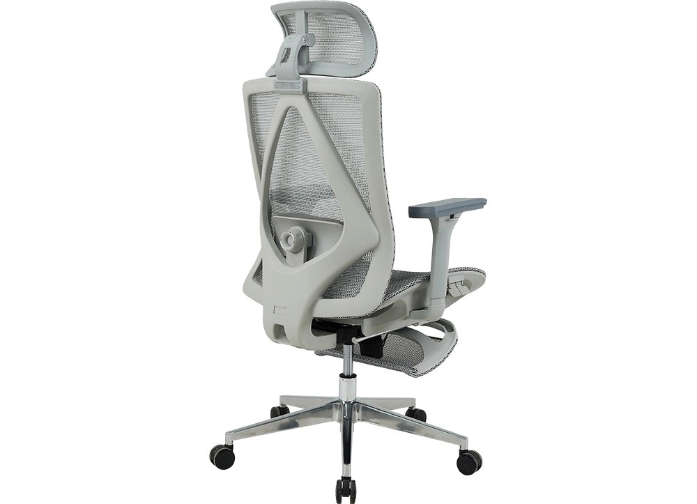 GHẾ CÔNG THÁI HỌC THE ONE 
GLE23