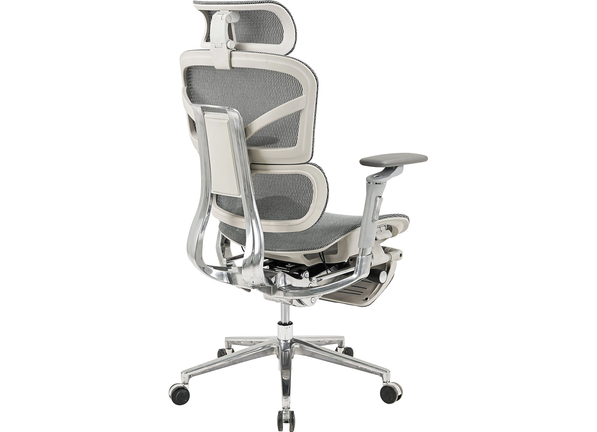 GHẾ CÔNG THÁI HỌC THE ONE 
GLE17