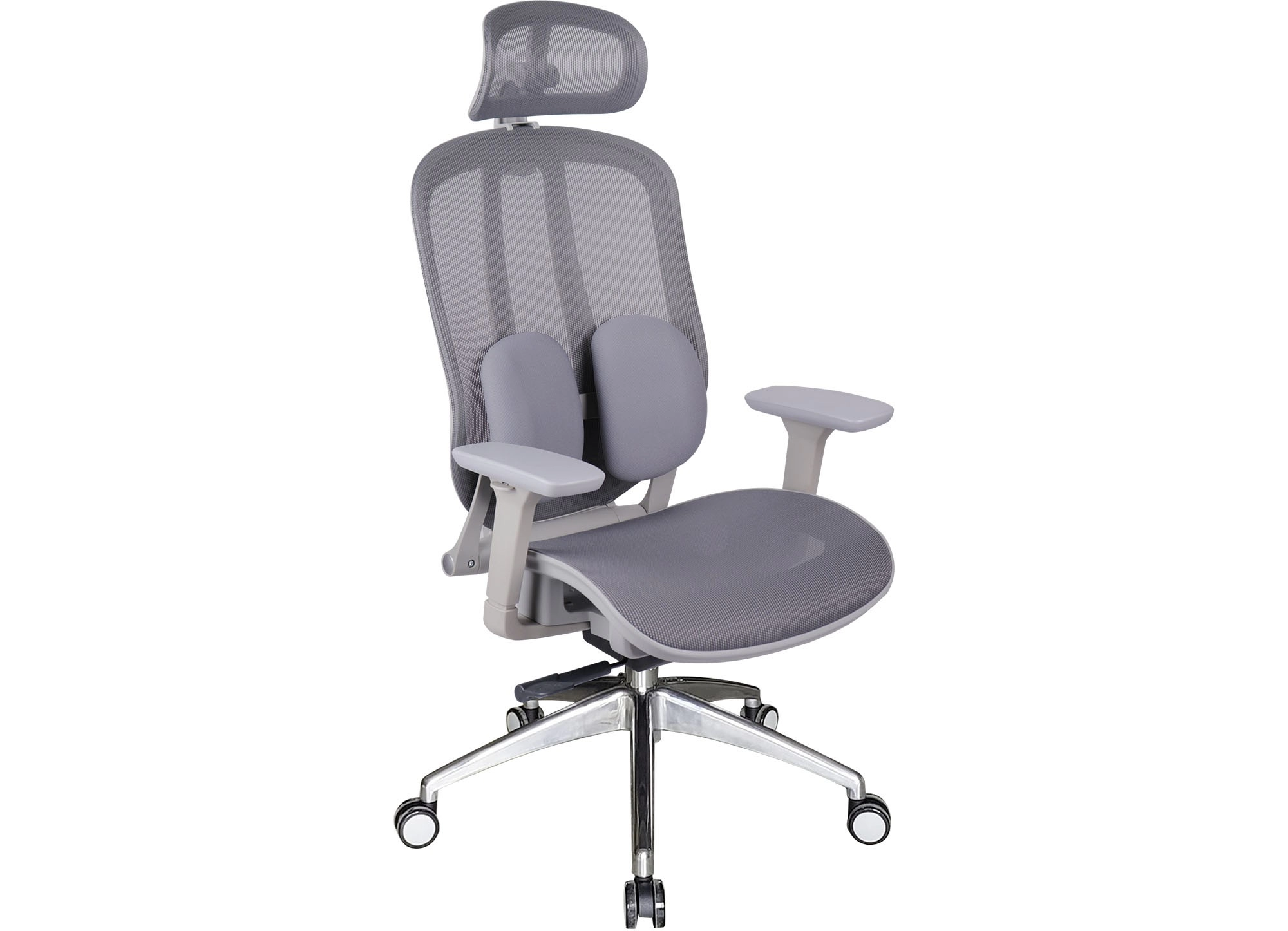 GHẾ CÔNG THÁI HỌC THE ONE 
GLE04-1