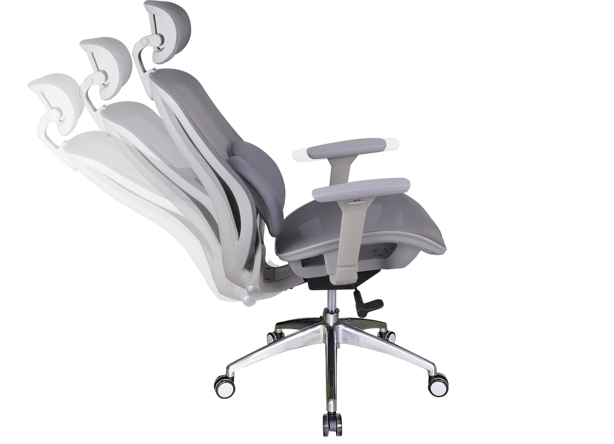 GHẾ CÔNG THÁI HỌC THE ONE 
GLE04-1