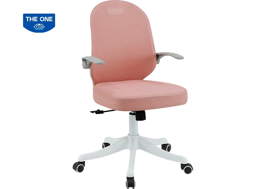 GHẾ XOAY TRẺ EM THE ONE 
TE12