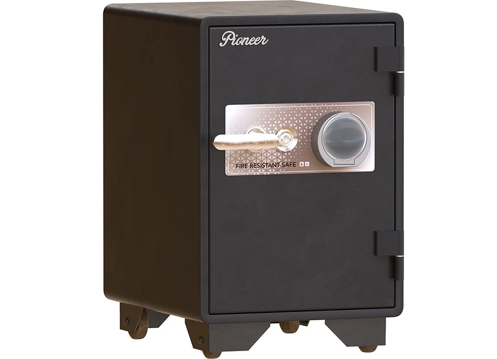 KÉT SẮT CAO CẤP PIONEER THE ONE 
PI86K1DT