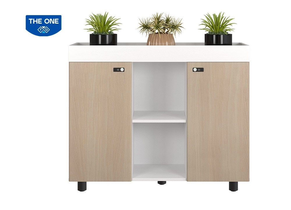 TỦ TÀI LIỆU NTV THE ONE 
NTV1000-3T2