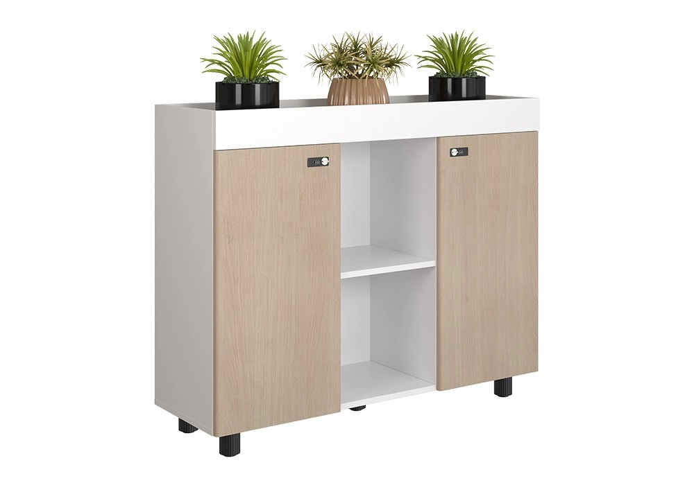 TỦ TÀI LIỆU NTV THE ONE 
NTV1000-3T2